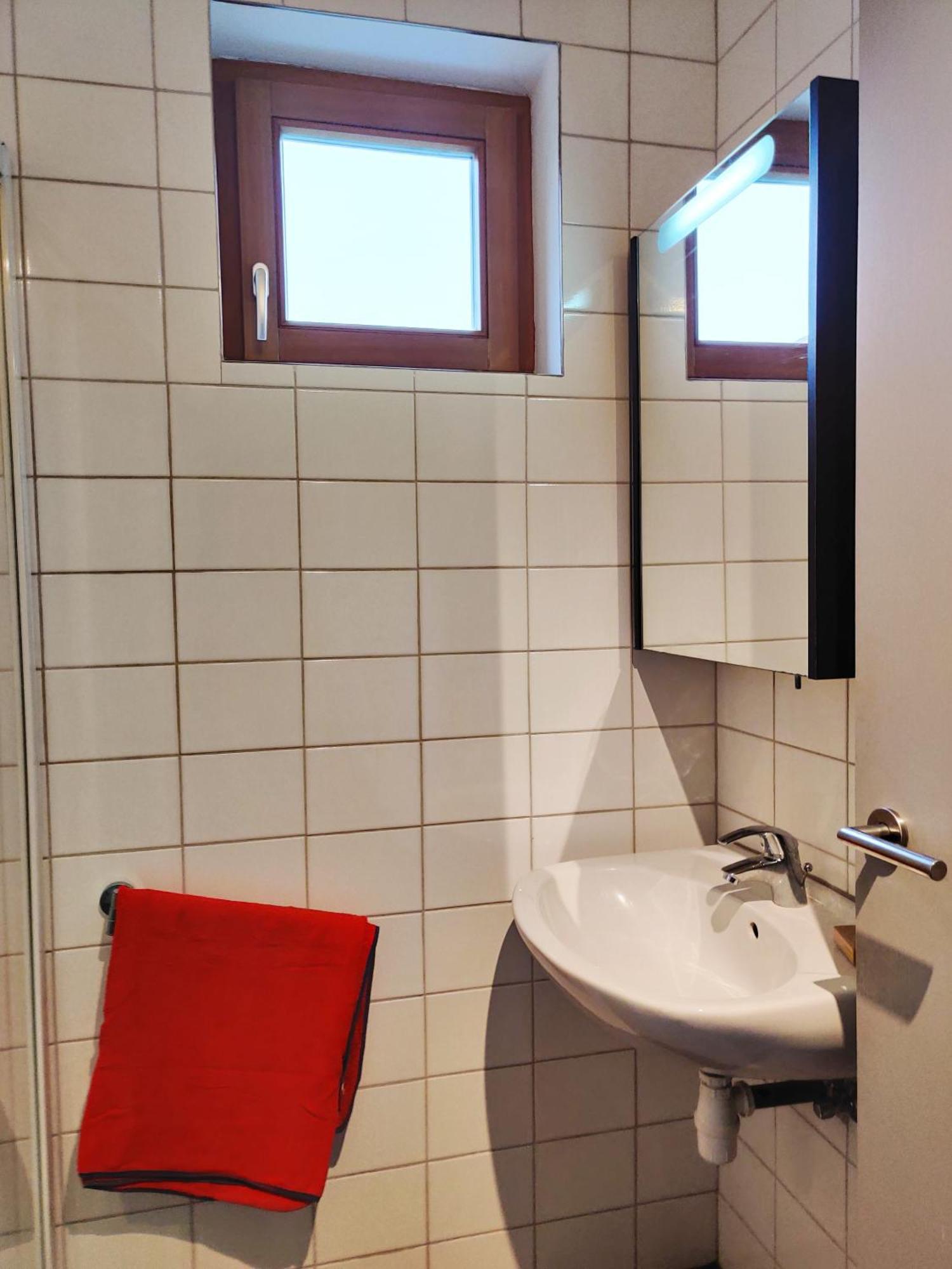 Petit Nid En Alsace Studio Independant Avec Salle De Douche Privative Buschwiller Buitenkant foto